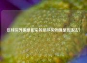 足球买外围是犯法的足球买外围是否违法？
