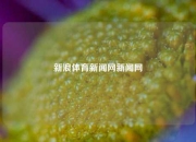 新浪体育新闻网新闻网