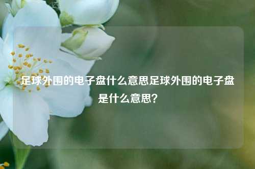足球外围的电子盘什么意思足球外围的电子盘是什么意思？