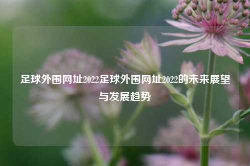 足球外围网址2022足球外围网址2022的未来展望与发展趋势