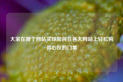 大家在哪个网站买球如何在各大网站上轻松购得心仪的门票