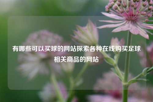 有哪些可以买球的网站探索各种在线购买足球相关商品的网站
