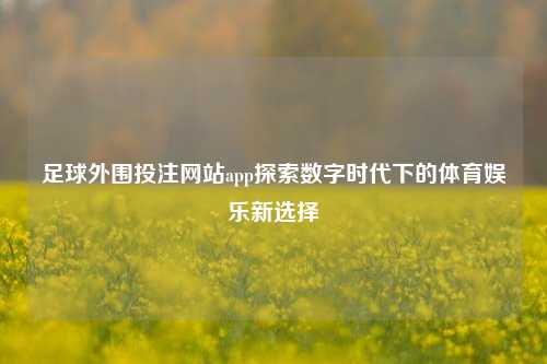 足球外围投注网站app探索数字时代下的体育娱乐新选择