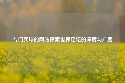 专门买球的网站探索世界足坛的深度与广度