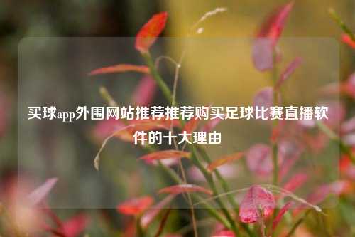 买球app外围网站推荐推荐购买足球比赛直播软件的十大理由