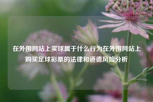 在外围网站上买球属于什么行为在外围网站上购买足球彩票的法律和道德风险分析