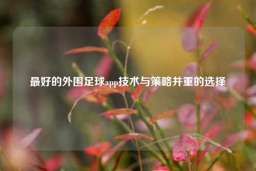 最好的外围足球app技术与策略并重的选择