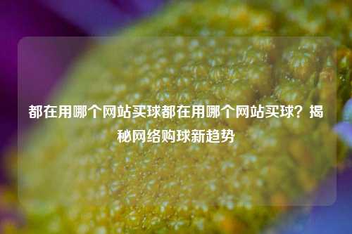 都在用哪个网站买球都在用哪个网站买球？揭秘网络购球新趋势