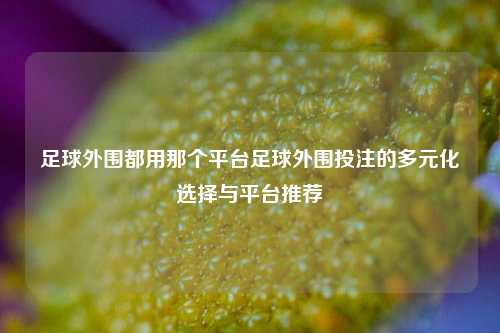 足球外围都用那个平台足球外围投注的多元化选择与平台推荐