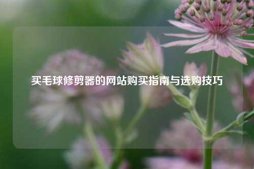 买毛球修剪器的网站购买指南与选购技巧