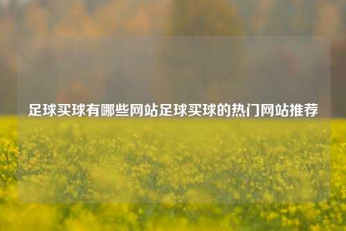 足球买球有哪些网站足球买球的热门网站推荐