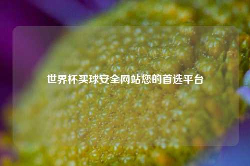 世界杯买球安全网站您的首选平台