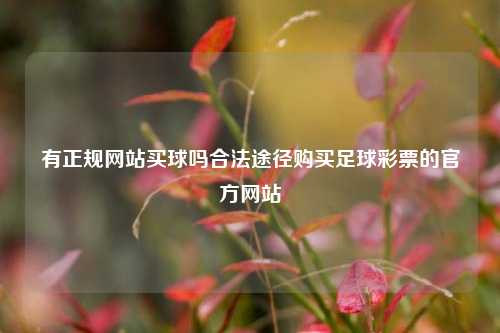 有正规网站买球吗合法途径购买足球彩票的官方网站