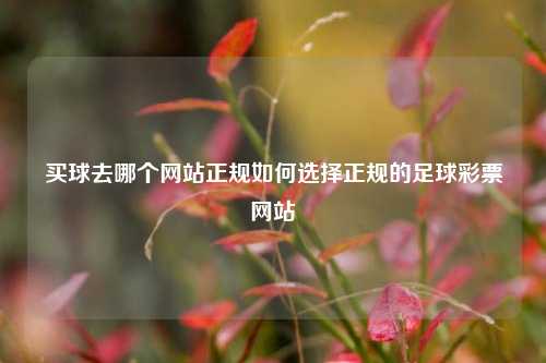 买球去哪个网站正规如何选择正规的足球彩票网站