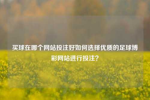 买球在哪个网站投注好如何选择优质的足球博彩网站进行投注？