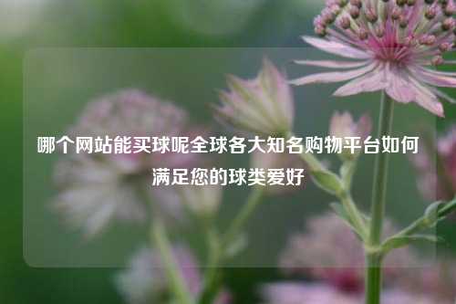 哪个网站能买球呢全球各大知名购物平台如何满足您的球类爱好
