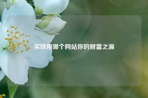 买球用哪个网站你的财富之源