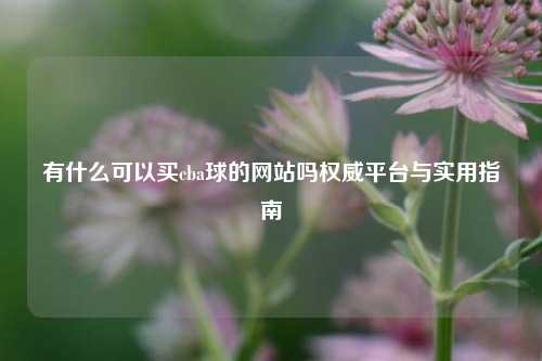 有什么可以买cba球的网站吗权威平台与实用指南