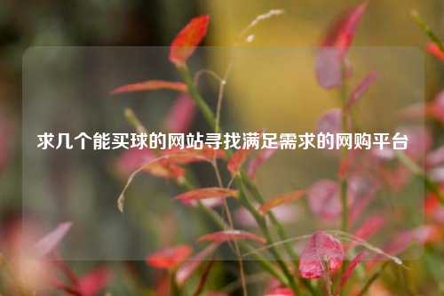求几个能买球的网站寻找满足需求的网购平台